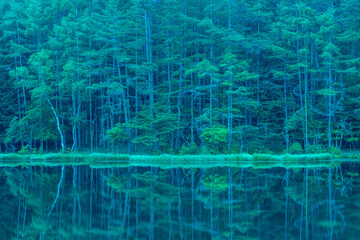 Mishaka Pond with green trees reflection early in the morning.