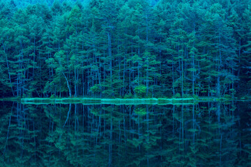 Mishaka Pond with green trees reflection early in the morning.