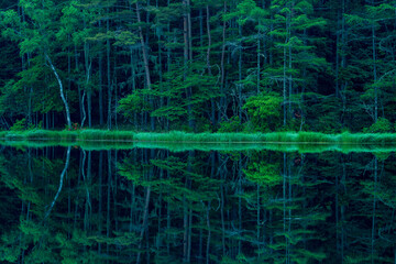Mishaka Pond with green trees reflection early in the morning.