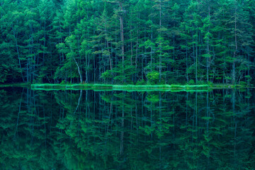 Mishaka Pond with green trees reflection early in the morning.