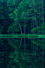 Mishaka Pond with green trees reflection early in the morning.