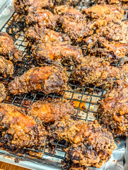 chicken wings appetizer on baking tray