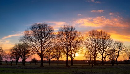 Fototapeta premium a muted landscape of barren trees against a vibrant sunset sky