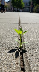 A single, resilient green sprout pushing its way up through a crack in a dry, grey urban concrete pavement. A powerful metaphor for hope, resilience, and new beginnings.
