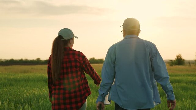 agriculture industry, two farmers work green field at sunset, field wheat, growing green plants, senior agronomist talks about work modern farming, commercial activities, financial investments