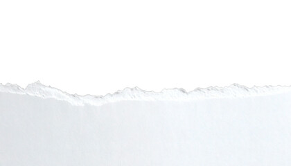 White paper burned half isolated on white background with clipping path. document or newspaper mockup