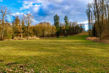 Tranquil autumn landscape with open field and bare trees under cloudy sky
