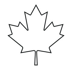 Vector flat outline maple leaf isolated on white background