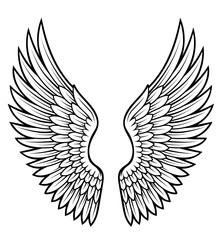 The wings of a bird are shown in black and white