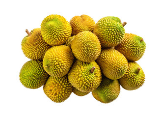 Heap of fresh and spiky durian fruit, delicious and exotic fruit