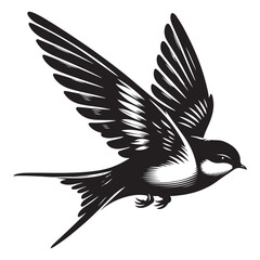 eagle vector illustration