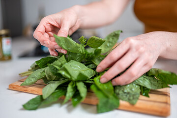 Preparing herbs for cooking on a bright countertop