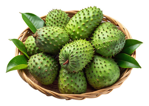 A basket brimming with fresh, vibrant green soursop fruits and lush leaves
