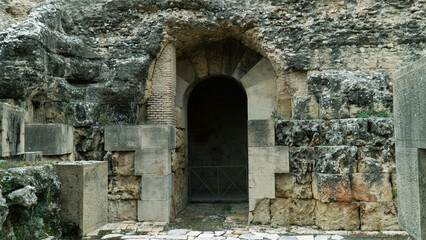 Fototapeta premium old door in the old castle