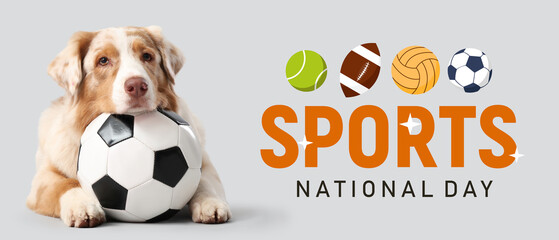 Cute Australian Shepherd dog with soccer ball lying on light background