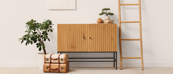 Interior of modern room with stylish dresser, houseplant and ladder near white wall