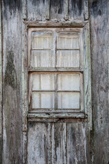 Old wooden window with a plant on the foreground and brick wall in the background
