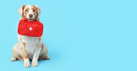 Cute  dog with first aid kit on blue background with space for text