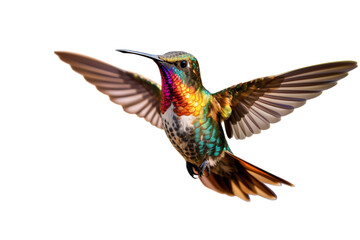 Fototapeta premium Vibrant Hummingbird in Flight: A Stunning Close-Up transparent background png