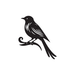 Obraz premium Bird Vector (3).eps
