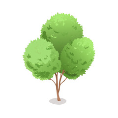 "Ultimate SVG Vector Design Bundle &ndash; Abstract, Geometric, Botanical, Mandala, Minimal, Vintage & Modern Elements for Cricut, Laser Cutting, Sublimation, and DIY Crafts"