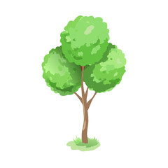 "Ultimate SVG Vector Design Bundle &ndash; Abstract, Geometric, Botanical, Mandala, Minimal, Vintage & Modern Elements for Cricut, Laser Cutting, Sublimation, and DIY Crafts"