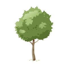 "Ultimate SVG Vector Design Bundle &ndash; Abstract, Geometric, Botanical, Mandala, Minimal, Vintage & Modern Elements for Cricut, Laser Cutting, Sublimation, and DIY Crafts"