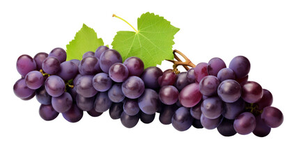 Fototapeta premium Grapes - Lush purple grape clusters hanging naturally from the vine on transparent background