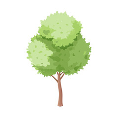 "Ultimate SVG Vector Design Bundle &ndash; Abstract, Geometric, Botanical, Mandala, Minimal, Vintage & Modern Elements for Cricut, Laser Cutting, Sublimation, and DIY Crafts"