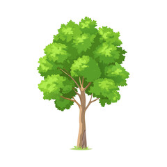 "Ultimate SVG Vector Design Bundle &ndash; Abstract, Geometric, Botanical, Mandala, Minimal, Vintage & Modern Elements for Cricut, Laser Cutting, Sublimation, and DIY Crafts"