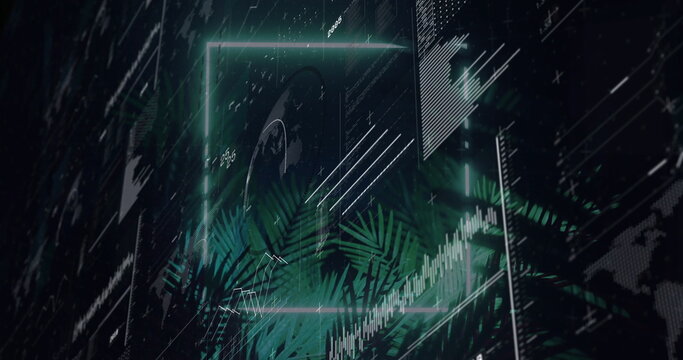 Glowing neon green frame floating in data space, displaying line graphs bar charts and palm fronds