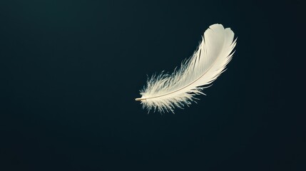 Delicate white feather floats against dark backdrop