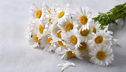 Obraz premium fresh bouquet of camomiles light background