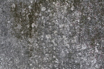 Detailed Close-up of a Weathered Concrete Surface