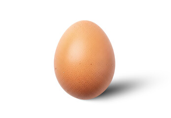 Brown Egg Isolated PNG With Shadow on Transparent Background