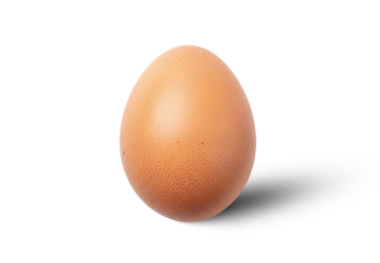 Brown Egg Isolated PNG With Shadow on Transparent Background