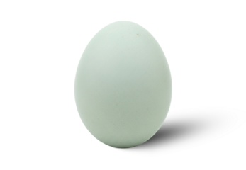 Pale Green Egg Isolated PNG With Shadow on Transparent Background