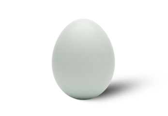 Penguin Egg Isolated PNG With Shadow on Transparent Background
