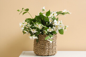 Wicker pot with blooming jasmine flowers on table near beige wall in room, closeup
