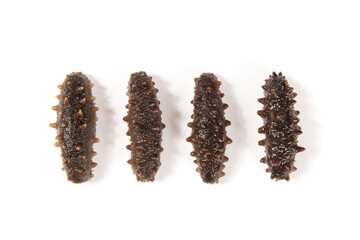 Raw sea cucumber trepang isolated on white background