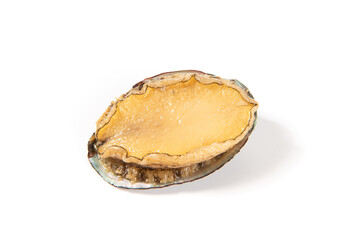 one raw abalone isolated on white background.