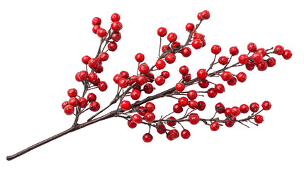 red berries on a white background