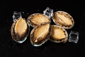 raw abalones isolated on black background.