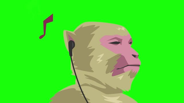 2D animation of a relaxed monkey enjoying music with earphones. Cartoon style with green screen.