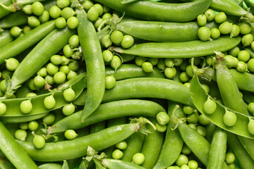 Texture of fresh green peas and pods as background