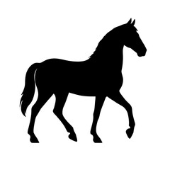 Fototapeta premium Majestic Tennessee Walking Horse Silhouette in Graceful Motion