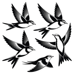 Obraz premium Four Swallows in Flight: A Monochrome Bird Illustration