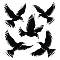 Obraz premium Five Birds in Flight: A Monochrome Avian Art Print