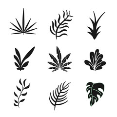 various kinds of leaves vector leaf