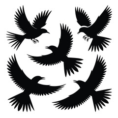 Obraz premium Five Black Birds in Flight: Silhouette Art for Design Projects